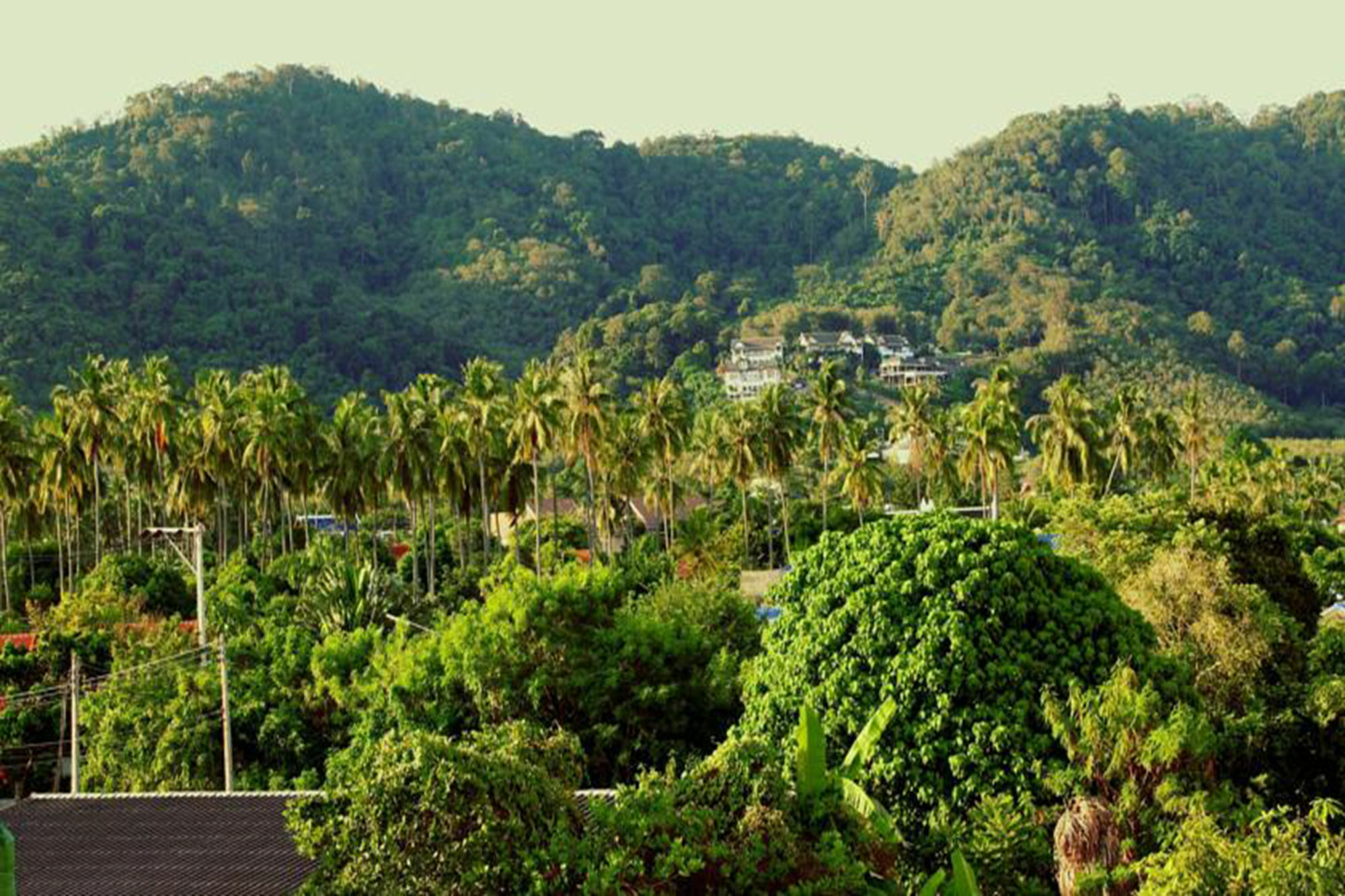Tropical Sands Nai Harn Exterior photo